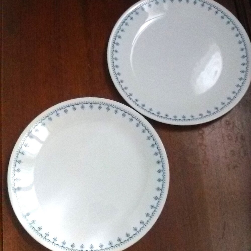 2 Vintage Corelle Livingware by Corning Dinner Plates (10 1/4")
